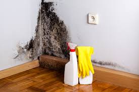 Best Mold Documentation for Insurance Claims in South Fulton, GA